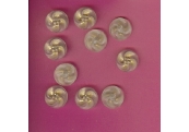 10 - 3/4"  Diameter Gold/Frost Shank Buttons   1527